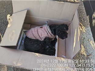대전동물보호센터_430366202400850
